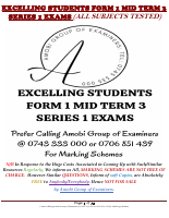 F1 MID-T3 S1 ES Q.pdf